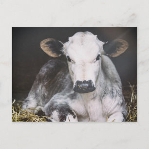 Busy Day Crop Postcard