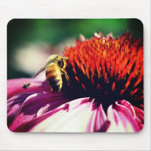 Busy Honey Bee Echinacea Flower  Mouse Pad