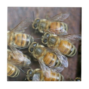 Busy honey bees ceramic tile