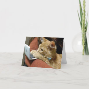 BUSY KITTY SAYS ***HAPPY BIRTHDAY** TO YOU CARD