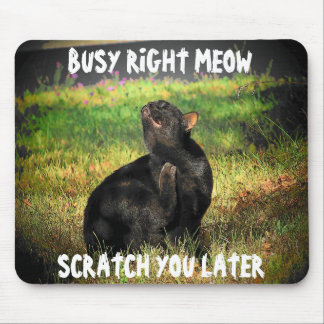 Busy Right Meow Cat Meme Mouse Pad