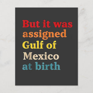 But It Was Assigned Gulf of Mexico at Birth Flyer