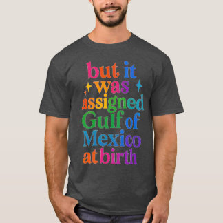 but it was assigned Gulf of Mexico at birth T-Shirt