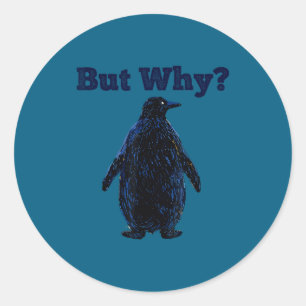 But why nihilist penguin, funny men women meme classic round sticker