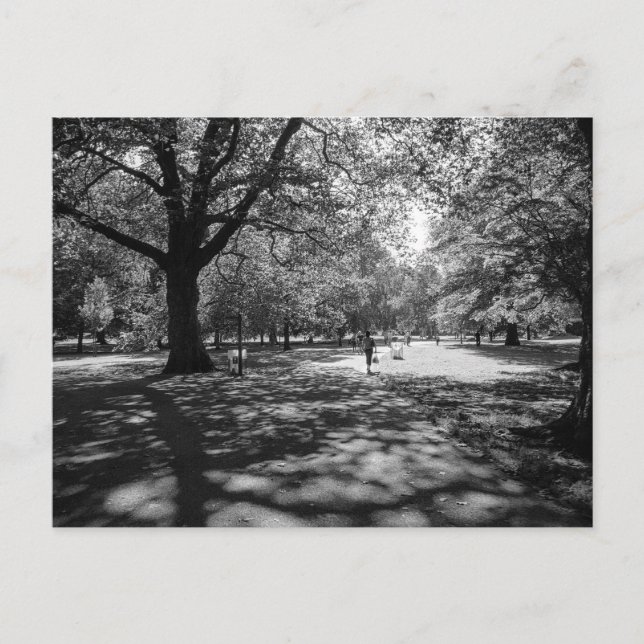 Bute Park on a Summer Afternoon. Cardiff Wales. Postcard (Front)