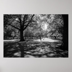 Bute Park on a Summer Afternoon. Cardiff, Wales Poster