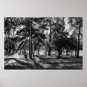 Bute Park on a Summer Afternoon. Cardiff, Wales Poster