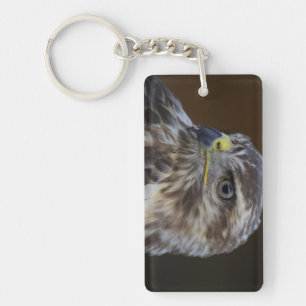 Buteo buteo key ring