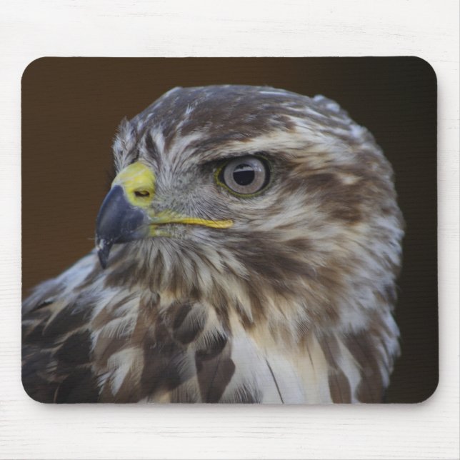 Buteo buteo mouse pad (Front)