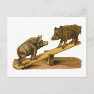 Butt Head Pigs Postcard