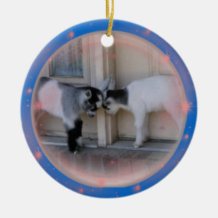 BUTT HEADS -BABY GOATS CHRISTMAS ORNAMENTS