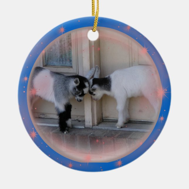 BUTT HEADS -BABY GOATS CHRISTMAS ORNAMENTS (Front)