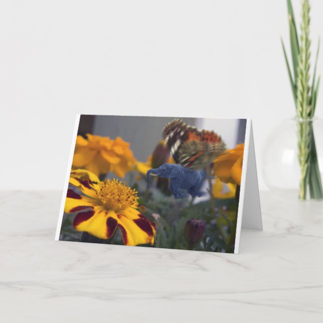 Buttephant Card (Front)