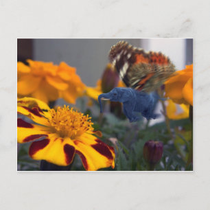 Buttephant Postcard