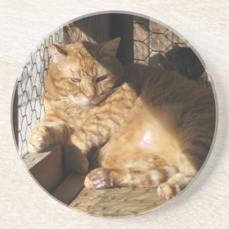 Butter Coaster