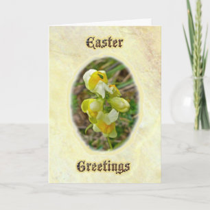 Butter 'n Eggs Easter Greetings Card