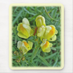 Butter 'n Eggs Wildflower Coordinating Items Mouse Pad