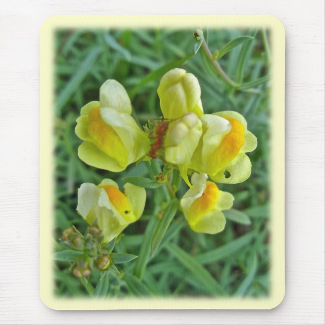 Butter 'n Eggs Wildflower Coordinating Items Mouse Pad (Front)