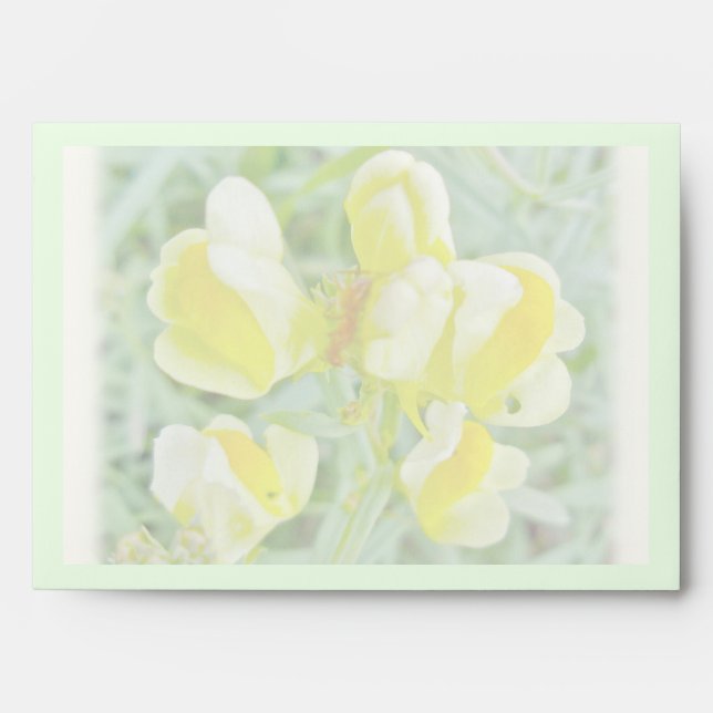 Butter 'n Eggs Wildflower Envelope (Front)