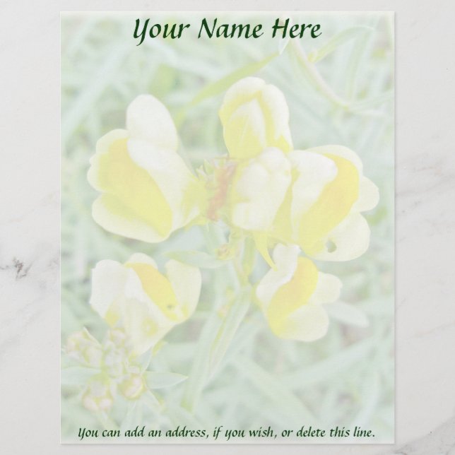 Butter 'n Eggs Wildflower Letterhead Template (Front)