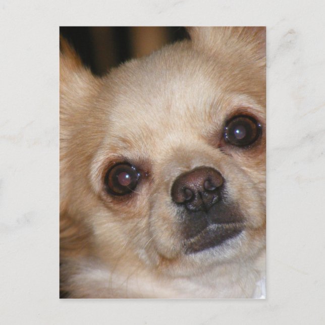 Butter Postcard (Front)