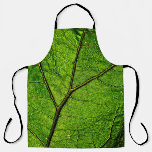 Butterbur leaf leaf veins green apron