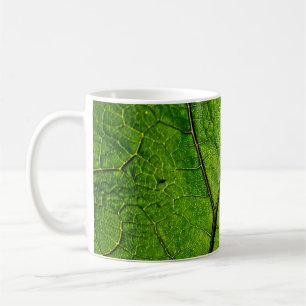 Butterbur leaf leaf veins green coffee mug