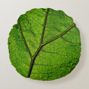 Butterbur leaf leaf veins green round cushion