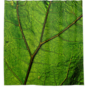 Butterbur leaf leaf veins green shower curtain