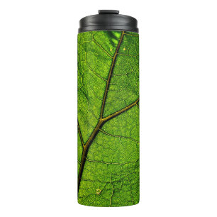 Butterbur leaf leaf veins green thermal tumbler