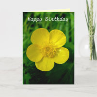 Buttercup - Birthday