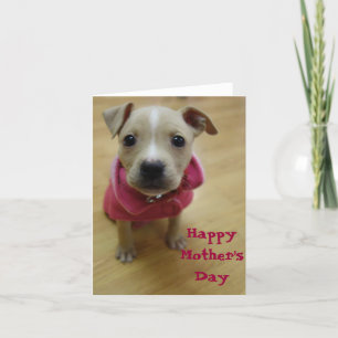 Buttercup Card