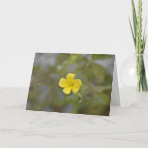 Buttercup Card