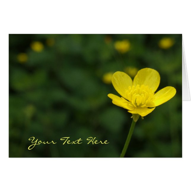 Buttercup Flower Card (Front Horizontal)