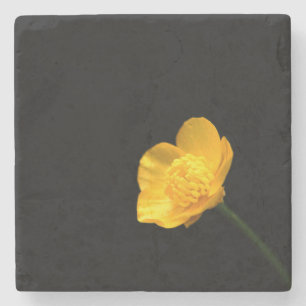 Buttercup Flower coastercna Stone Coaster