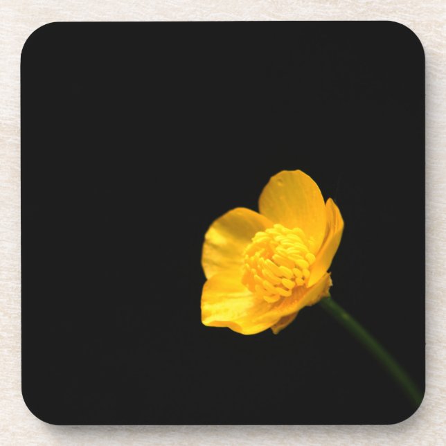 Buttercup Flower coastercnm Coaster (Front)