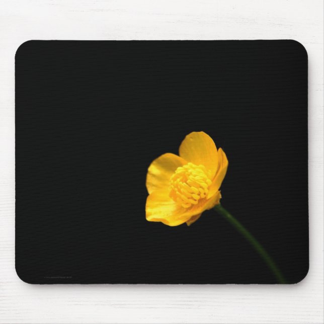 Buttercup Flower mpcna Mouse Pad (Front)
