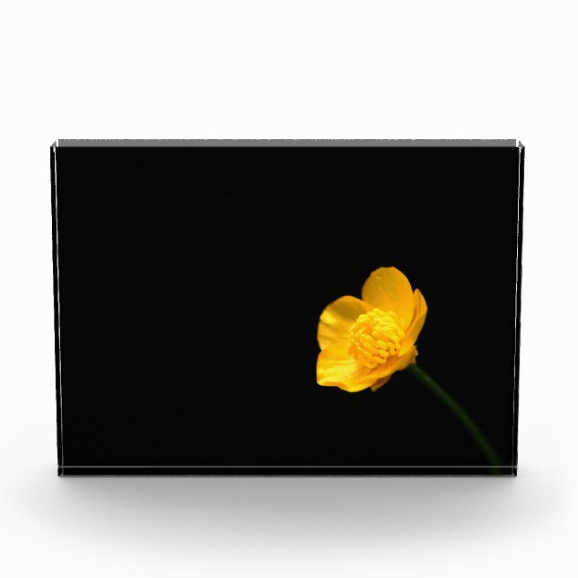 Buttercup Flower pbcnm Photo Block (Front)