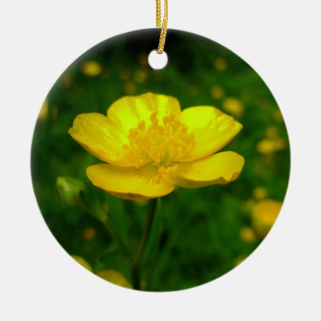Buttercup Ornament Flowers Christmas Decoration (Front)
