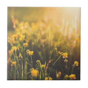 Buttercup Sundown Ceramic Tile