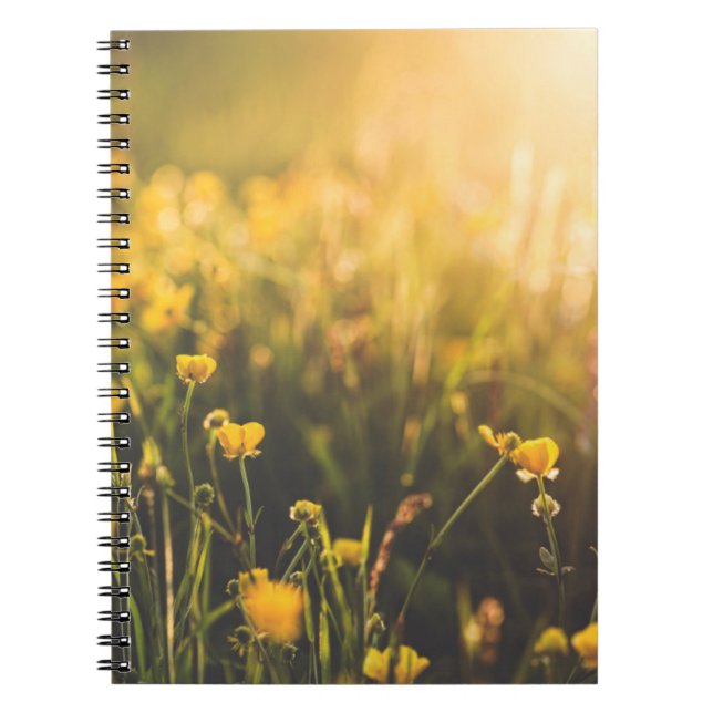 Buttercup Sundown Notebook (Front)