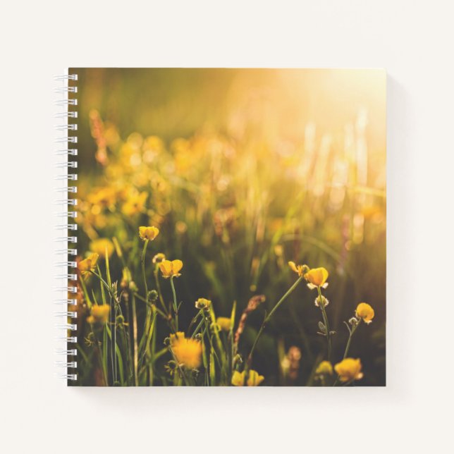Buttercup Sundown Notebook (Front)