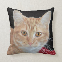 Buttercup the Orange Tabby Drawing Pillow