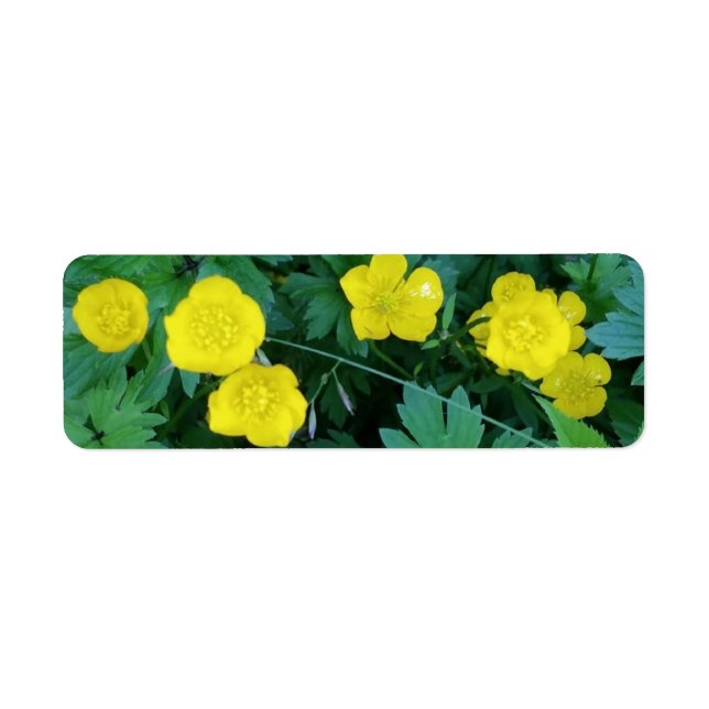 Buttercup Themed Labels (Front)