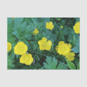 Buttercup Themed Tissue Paper