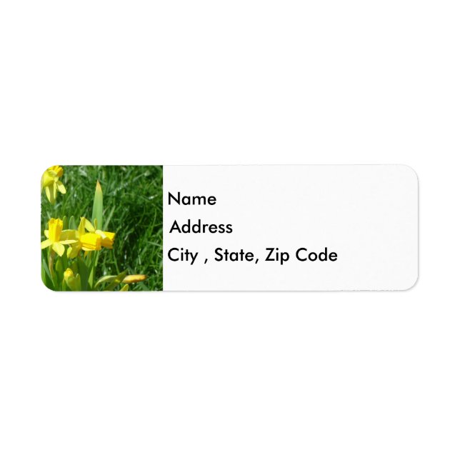 Buttercup Yellow Daffodils Return Address Label (Front)