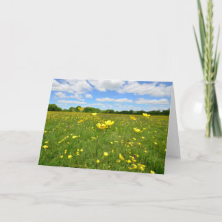 Buttercups in English Meadow Card