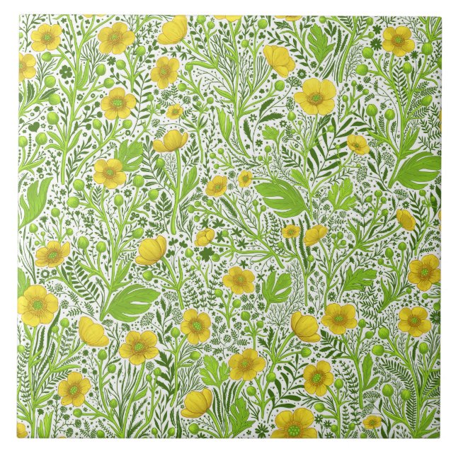 Buttercups on white ceramic tile (Front)