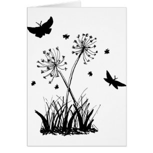 butterflies