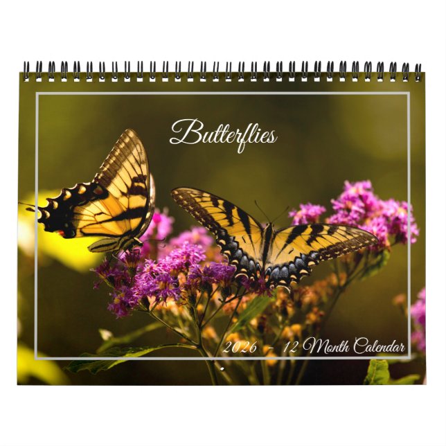 Butterflies 12 Month Calendar (Cover)
